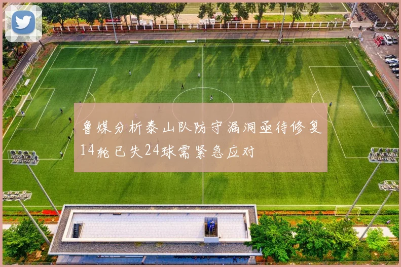 鲁媒分析泰山队防守漏洞亟待修复14轮已失24球需紧急应对
