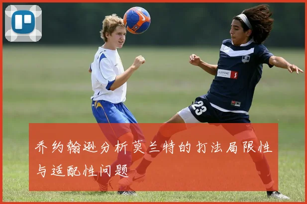 乔约翰逊分析莫兰特的打法局限性与适配性问题